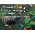 grapes farming plants protection covers mesh anti bird net